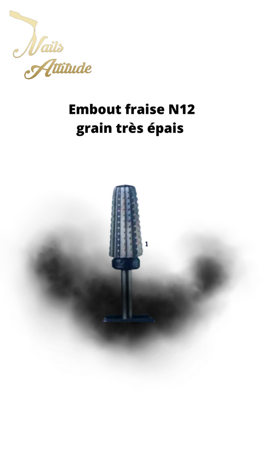Embout ponceuse fraise N°12