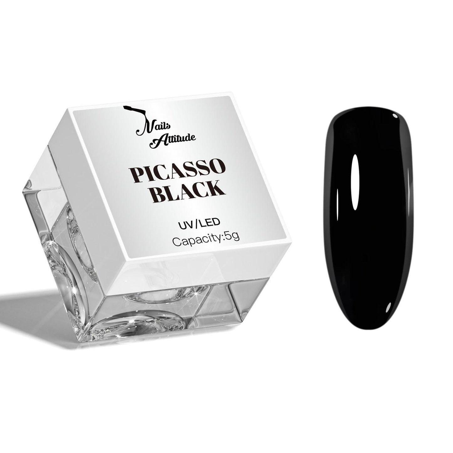 Base PICASSO
